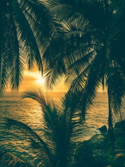 Punta Brava en Arusi, 3 días increíbles entre selva y mar