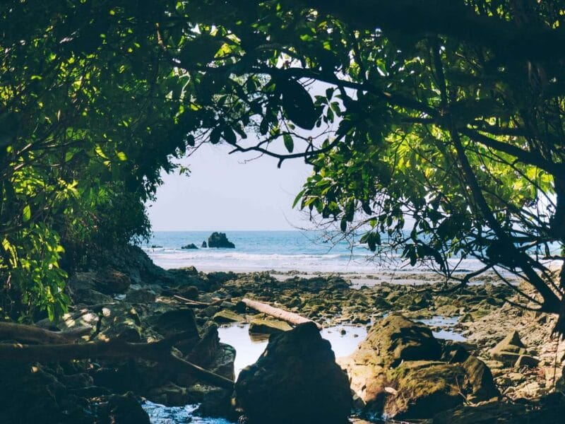 Punta Brava en Arusi, 3 días increíbles entre selva y mar