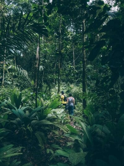 Punta Brava en Arusi, 3 días increíbles entre selva y mar