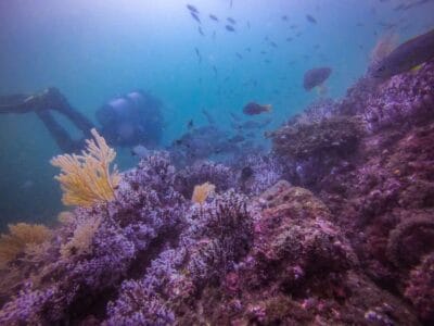 Punta Brava en Arusi, 3 días increíbles entre selva y mar