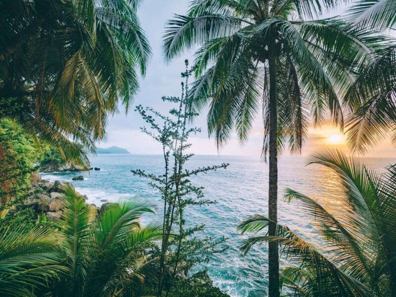 Punta Brava en Arusi, 3 días increíbles entre selva y mar