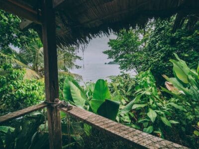 Punta Brava en Arusi, 3 días increíbles entre selva y mar