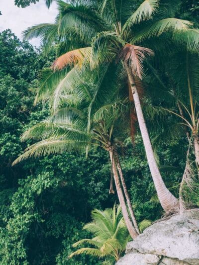 Punta Brava en Arusi, 3 días increíbles entre selva y mar
