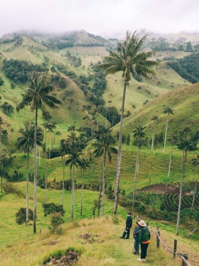 Valle del Cocora : Una caminata imperdible ?