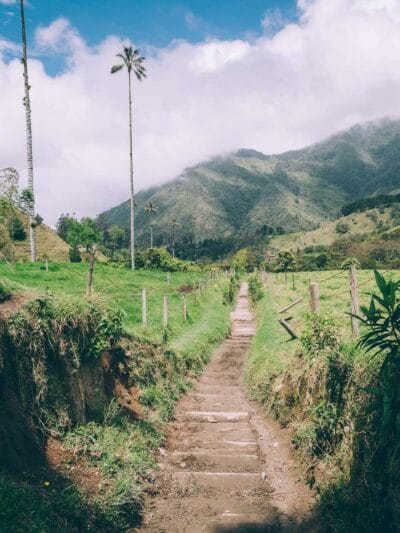 Valle del Cocora : Una caminata imperdible