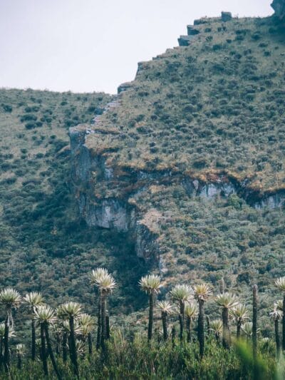 Paramo de Chingaza, Lagunas de Siecha