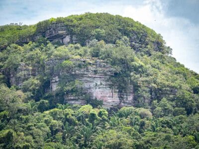 Cerro azul en el Guaviare, la Capilla sixtina del Amazonas