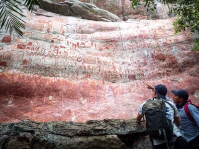 Cerro azul en el Guaviare, la Capilla sixtina del Amazonas