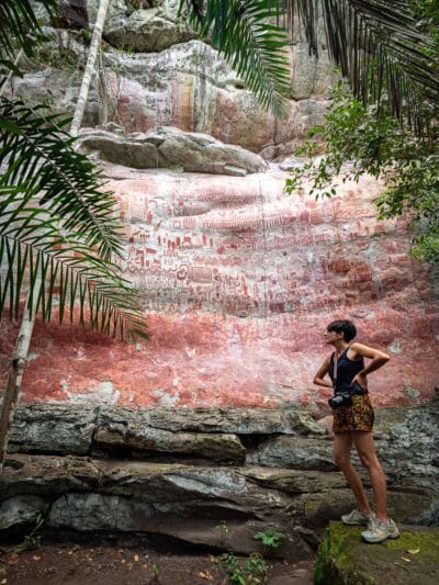 Cerro azul en el Guaviare, la Capilla sixtina del Amazonas