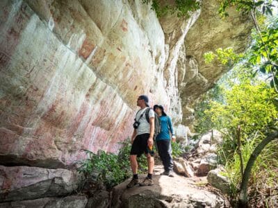 Cerro azul en el Guaviare, la Capilla sixtina del Amazonas