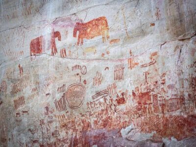 Cerro azul en el Guaviare, la Capilla sixtina del Amazonas