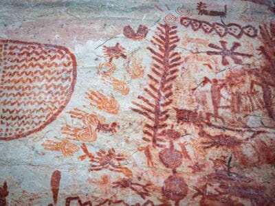Cerro azul en el Guaviare, la Capilla sixtina del Amazonas