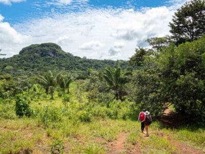 Cerro azul en el Guaviare, la Capilla sixtina del Amazonas