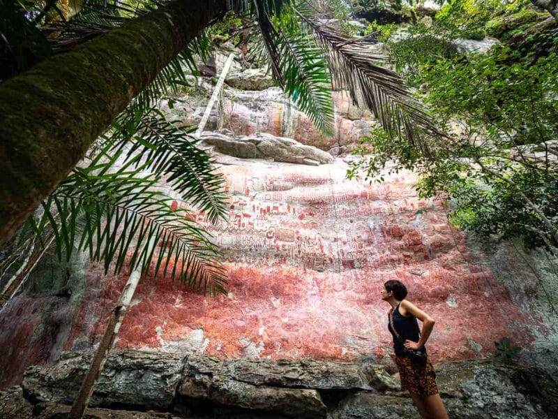 Cerro azul en el Guaviare, la Capilla sixtina del Amazonas