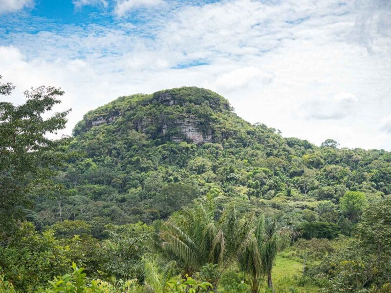 Cerro azul en el Guaviare, la Capilla sixtina del Amazonas