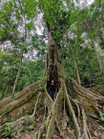 Bunkuany, la alternativa a la Ciudad Perdida