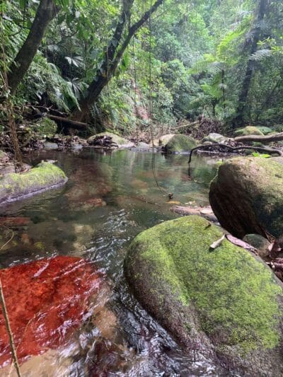 Bunkuany, la alternativa a la Ciudad Perdida