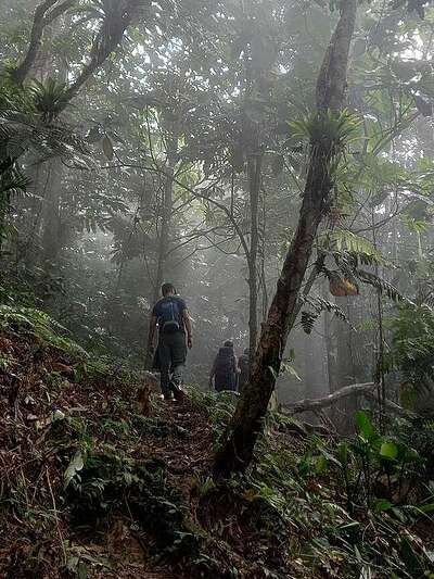 Bunkuany, la alternativa a la Ciudad Perdida