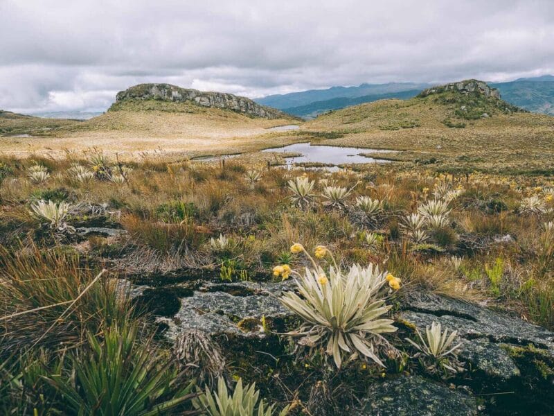Mi viaje por Colombia, Planea un itinerario auténtico y seguro