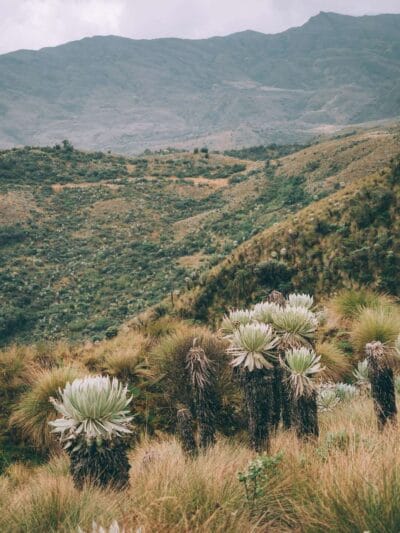 Paramo de Oceta, una caminata inolvidable