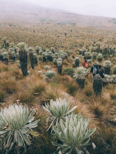 Paramo de Oceta, una caminata inolvidable