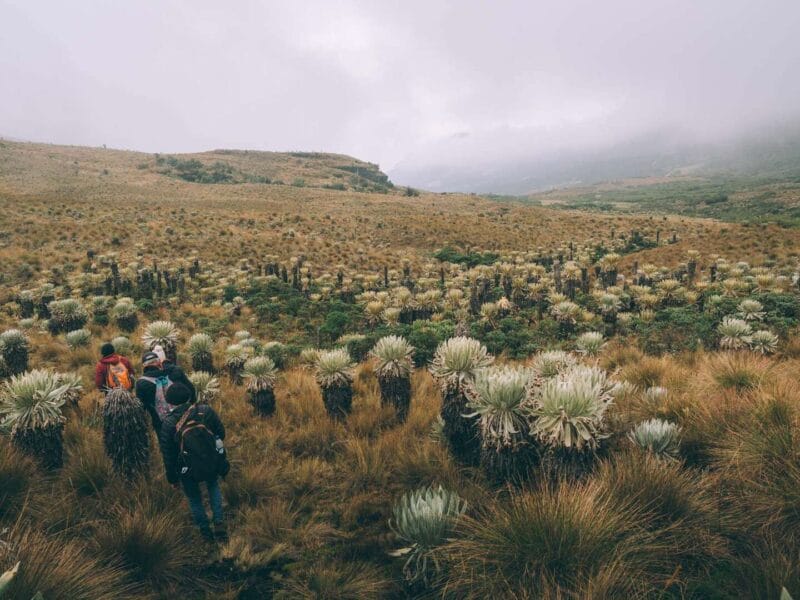 Paramo de Oceta, una caminata inolvidable