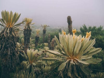 Paramo de Oceta, una caminata inolvidable
