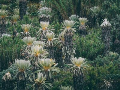 Paramo de Oceta, una caminata inolvidable