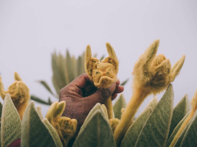 Paramo de Oceta, una caminata inolvidable