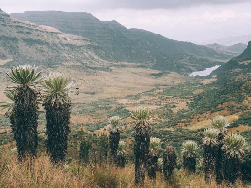 Mi viaje por Colombia, Planea un itinerario auténtico y seguro
