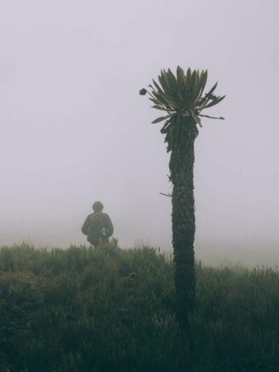 Paramo de Oceta, una caminata inolvidable