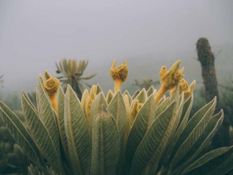 Paramo de Oceta, una caminata inolvidable