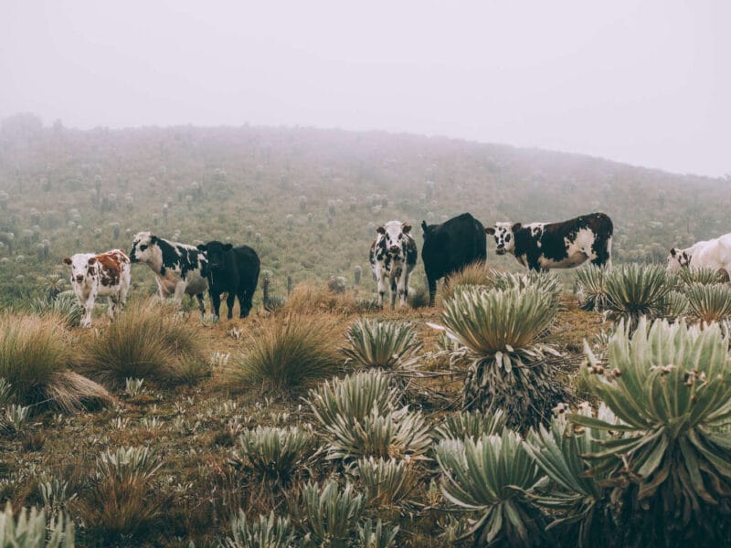 Paramo de Oceta, una caminata inolvidable