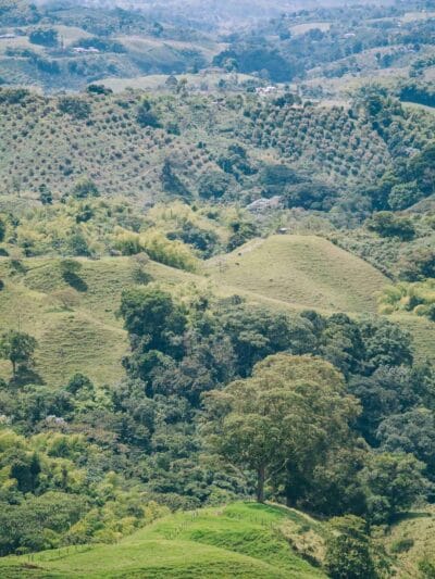 Filandia, que hacer en este lindo pueblo del Quindío