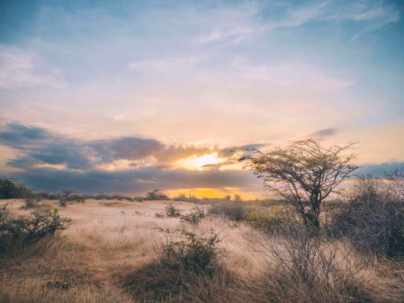 Experiencia cultural con una familia indígena Wayuu en la Guajira