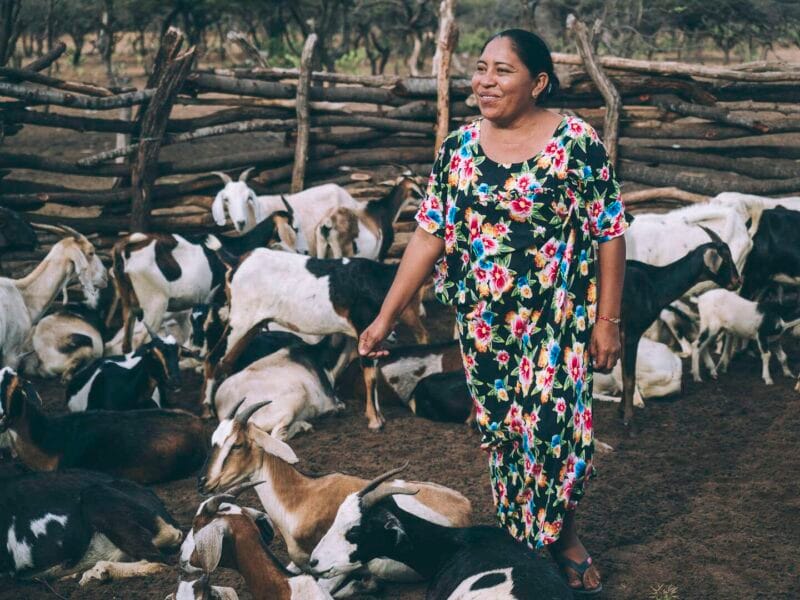 Experiencia cultural con una familia indígena Wayuu en la Guajira