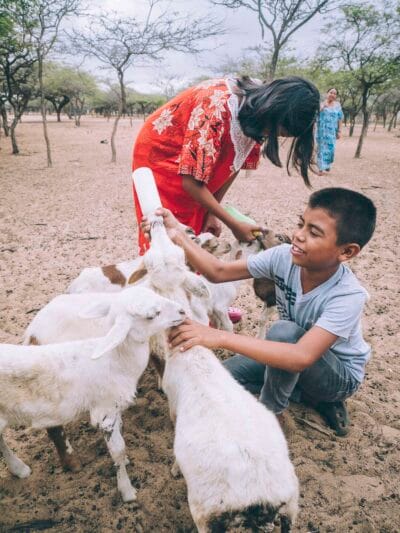 Experiencia cultural con una familia indígena Wayuu en la Guajira