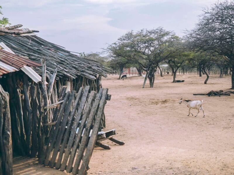 Experiencia cultural con una familia indígena Wayuu en la Guajira