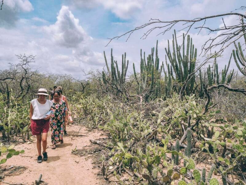 Experiencia cultural con una familia indígena Wayuu en la Guajira