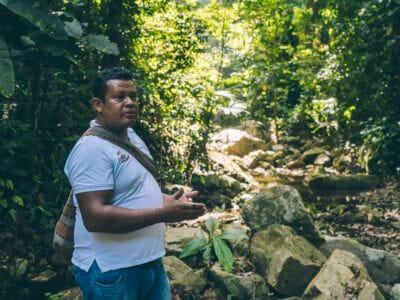 Tour de Cacao en Buritaca, cerca a Santa Marta