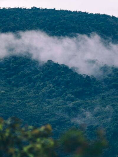 Reserva natural Río Ñambí en Nariño, una de las más hermosas de Colombia