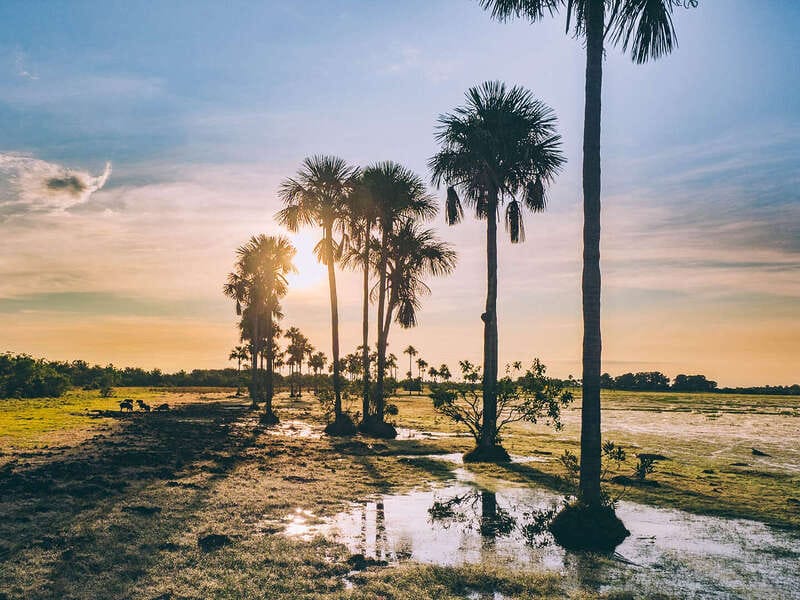 Inmersión en el llano profundo : 6 días en el corazón del Casanare