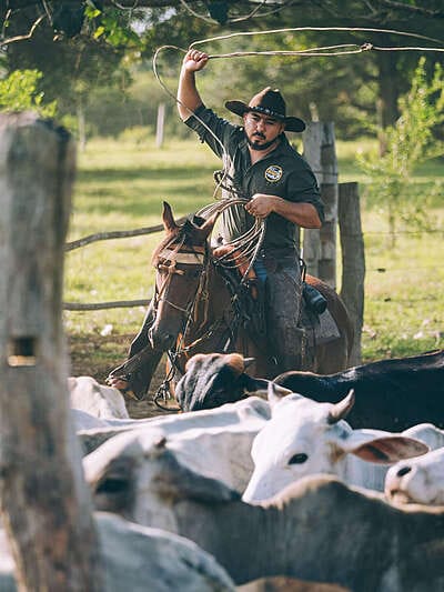 Inmersión en el llano profundo : 6 días en el corazón del Casanare