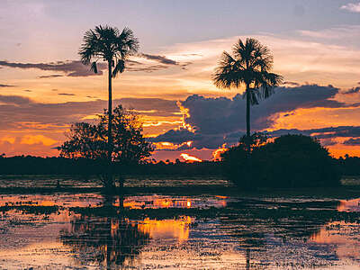 Inmersión en el llano profundo : 6 días en el corazón del Casanare