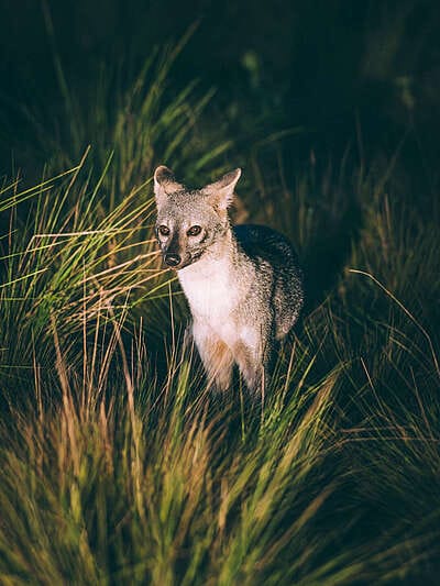 Inmersión en el llano profundo : 6 días en el corazón del Casanare