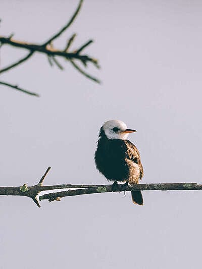 Inmersión en el llano profundo : 6 días en el corazón del Casanare