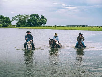 Safari llanero en el Casanare