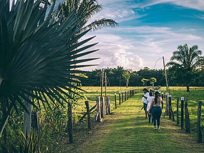 Safari llanero en el Casanare