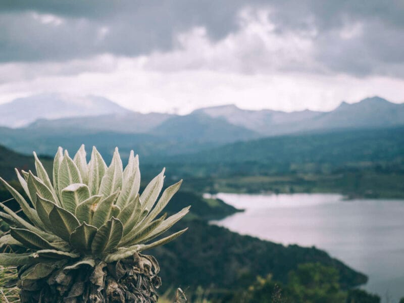 Qué hacer alrededor de Pasto