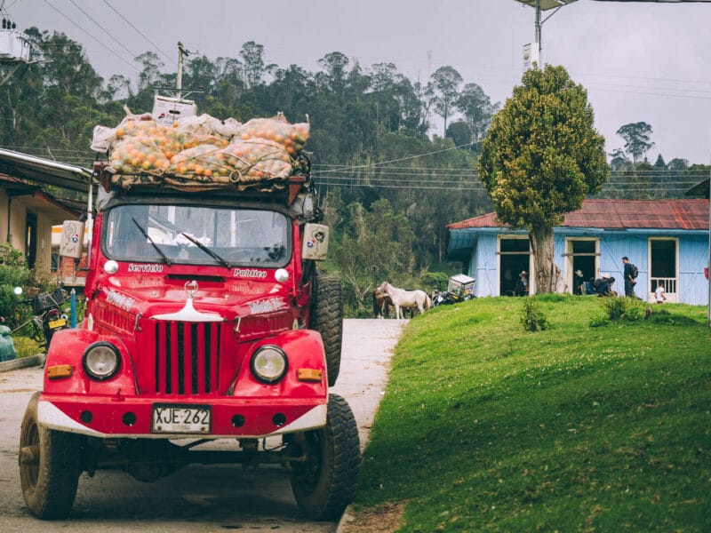 Que hacer en Murillo ? Entre palmas de cera, termales y trekking